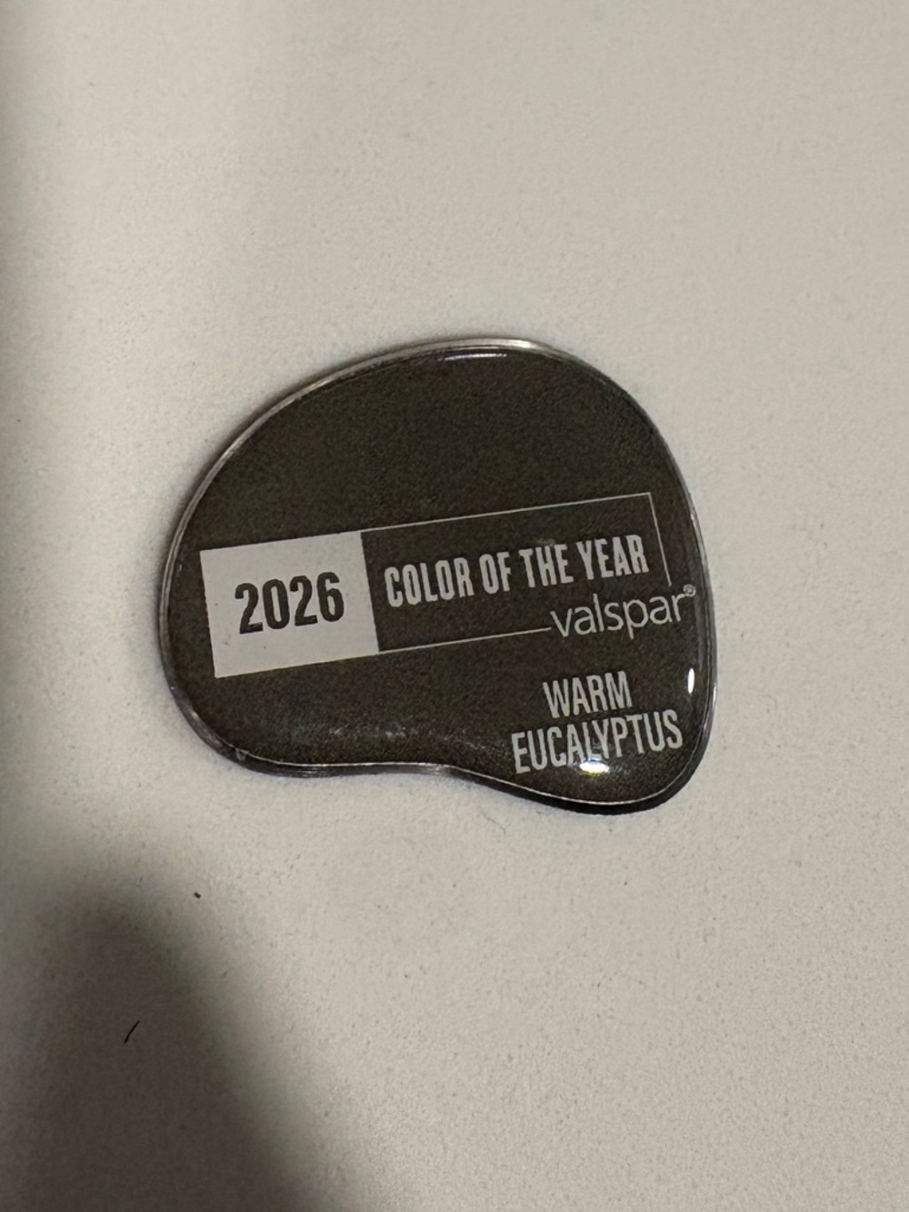 Valspar 2026 Color of the Year guitar pick - Warm Eucalyptus
